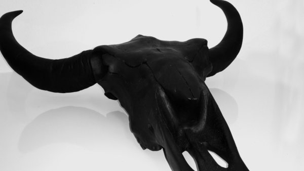 Dunord Figur Longhorn Skull Deko Schädel 69cm schwarz