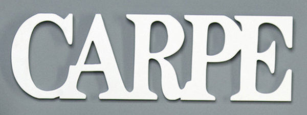 Schriftzug Wandbild CARPE DIEM weiss 34cm/40cm